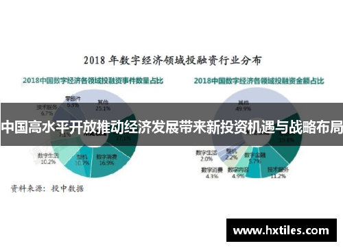中国高水平开放推动经济发展带来新投资机遇与战略布局