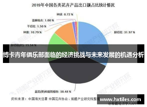 博卡青年俱乐部面临的经济挑战与未来发展的机遇分析