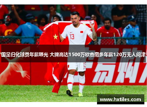 国足归化球员年薪曝光 大牌高达1500万欧费南多年薪120万无人问津