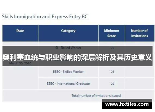 奥利塞血统与职业影响的深层解析及其历史意义 奥利塞血统与职业影响的深层解析及其历史意义