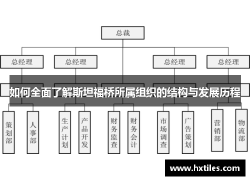 如何全面了解斯坦福桥所属组织的结构与发展历程